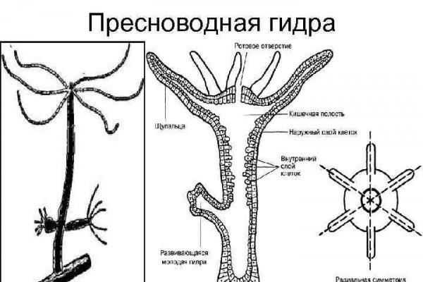 Как зайти в кракен через айфон