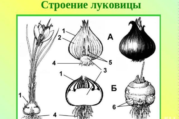 Вход в кракен чтобы купить меф