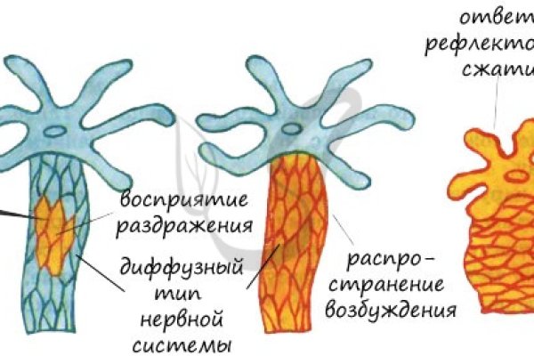 Оригинальный сайт кракен